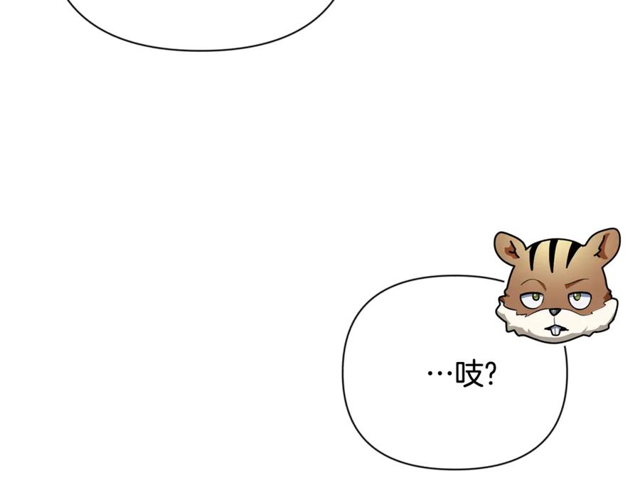 第336页
