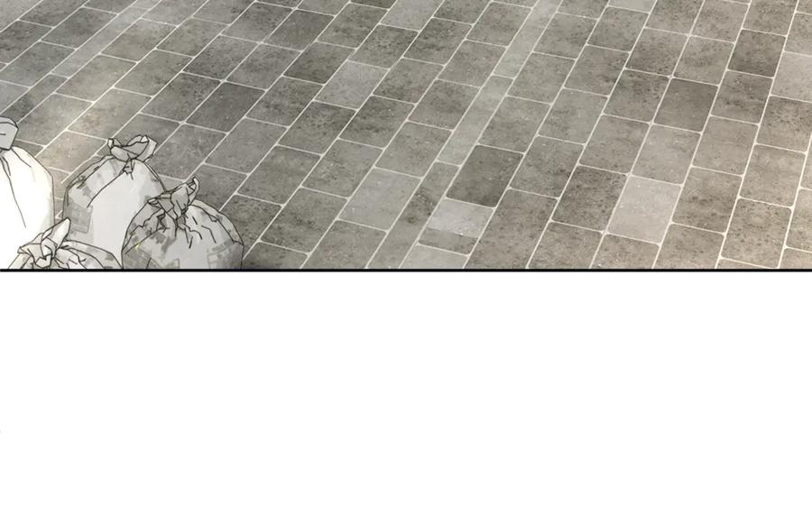 第336页