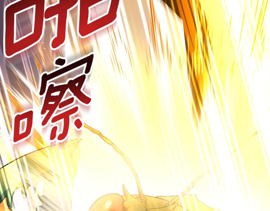 第252页
