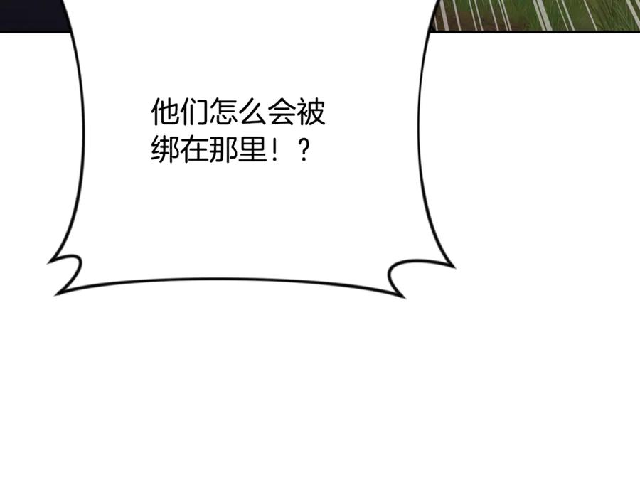第249页