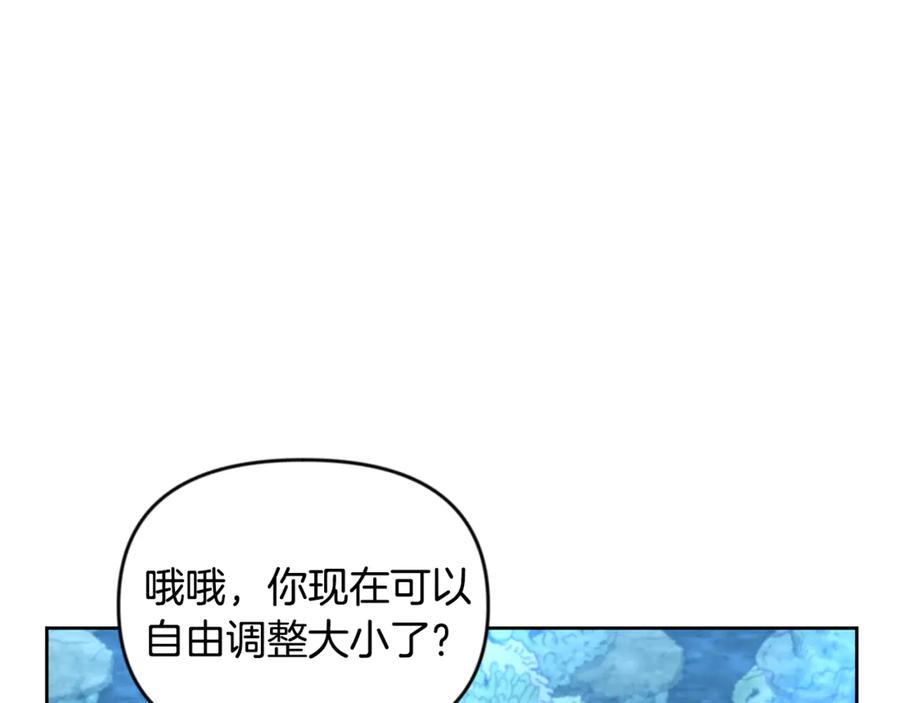 第222页