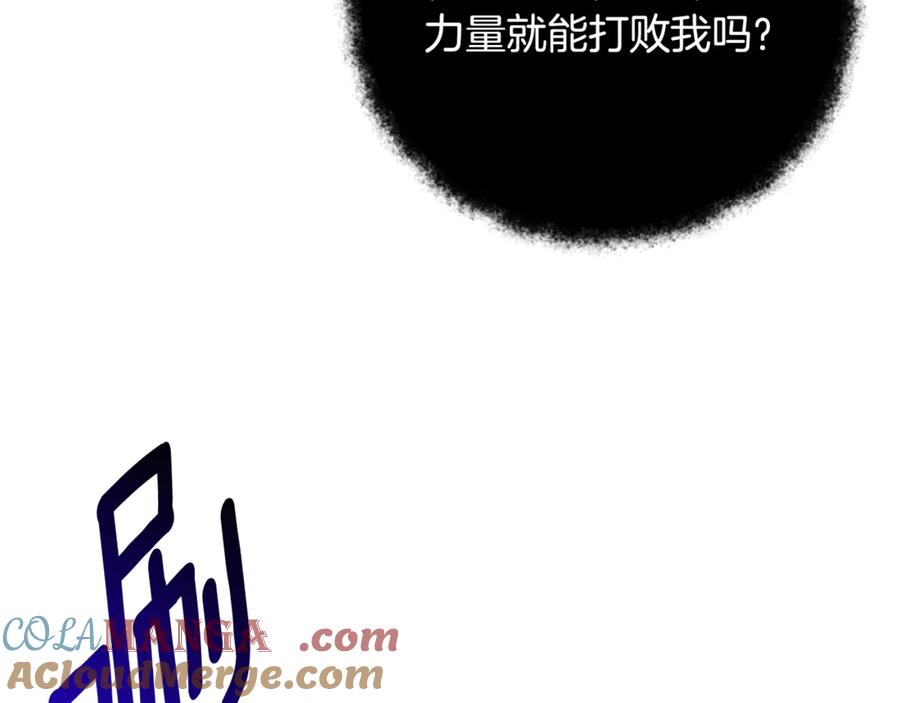 第291页