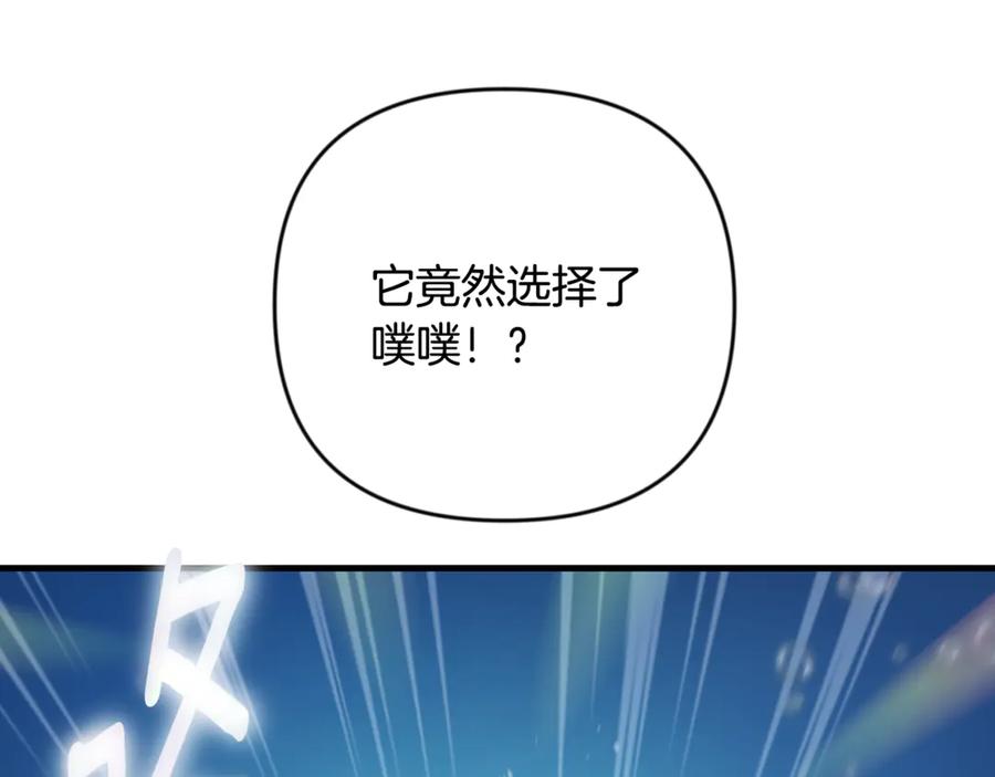 第804页