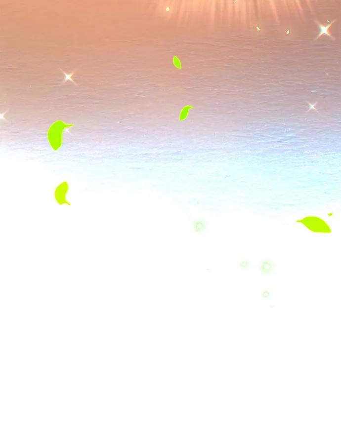 第196页