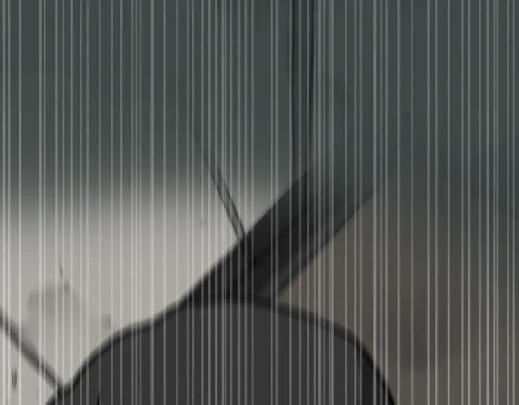 第282页