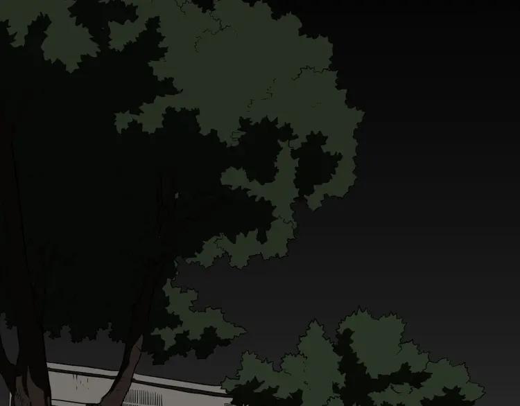 第223页