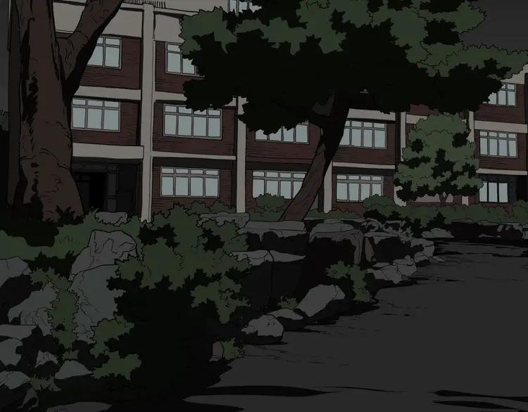 第224页