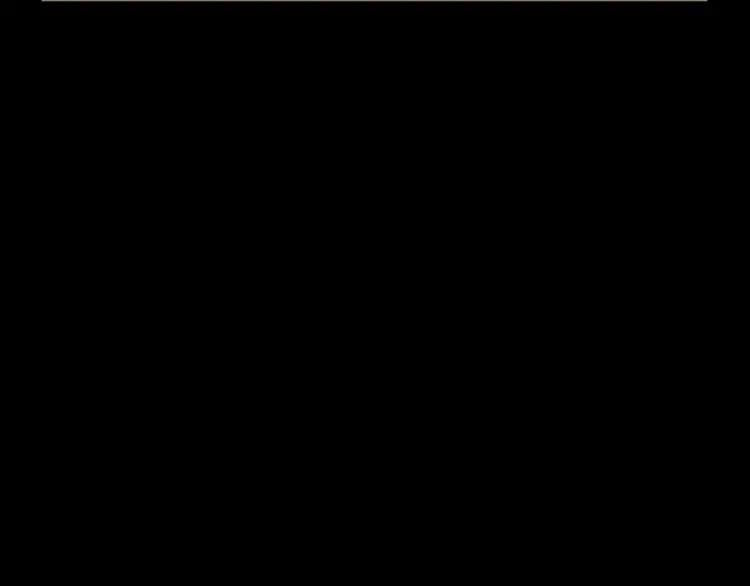 第244页