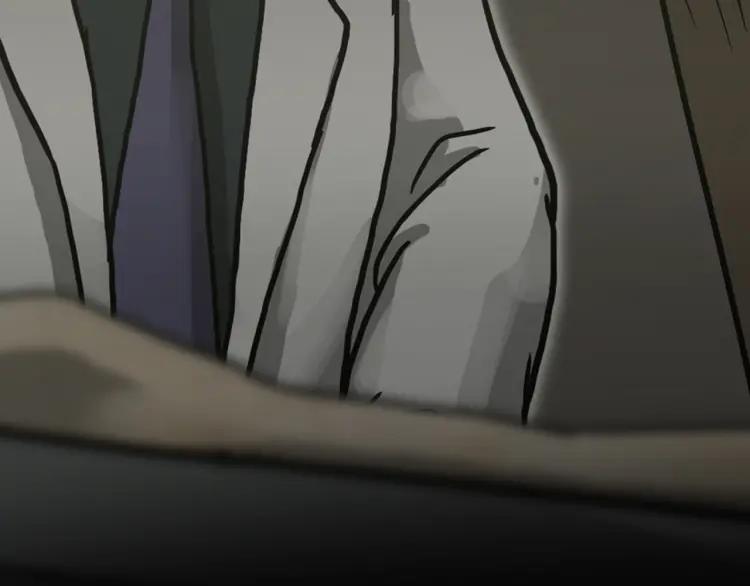 第247页