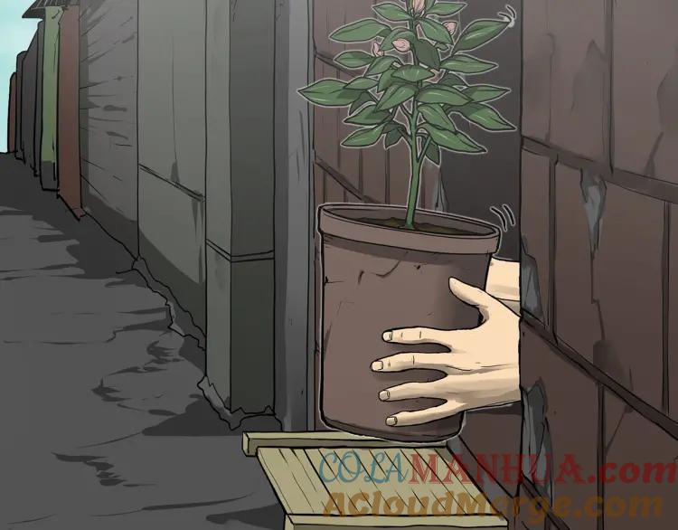 第284页