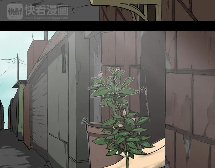第285页