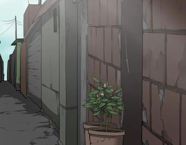 第289页