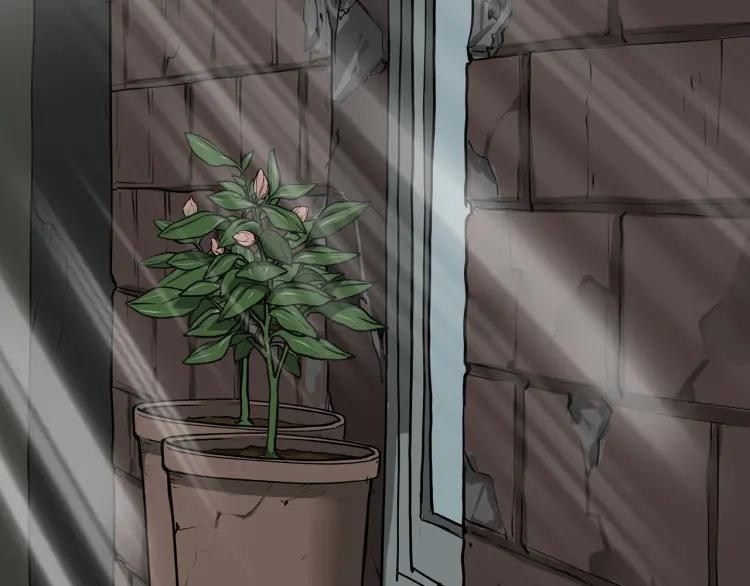 第291页