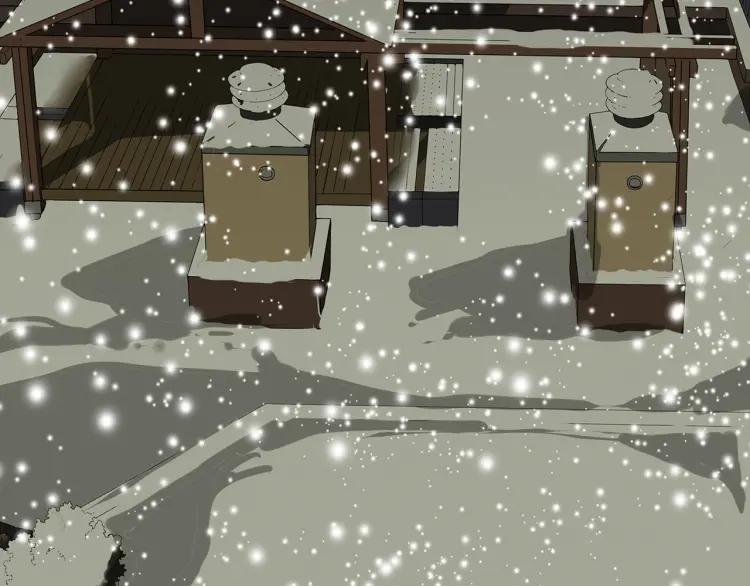 第222页