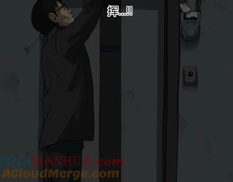 第337页