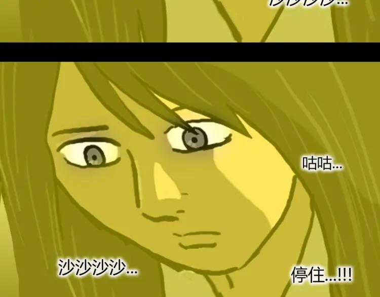 第223页