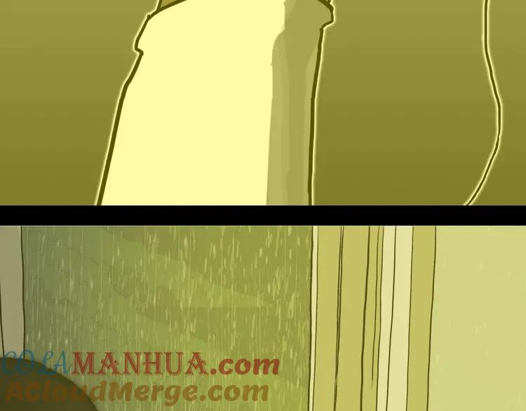 第233页