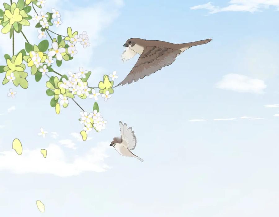 第60页