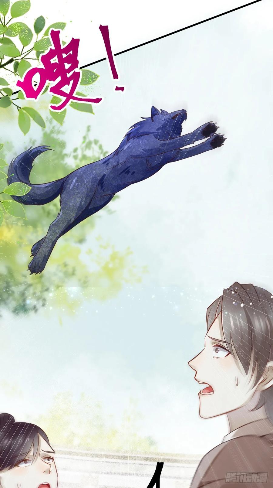 第41页