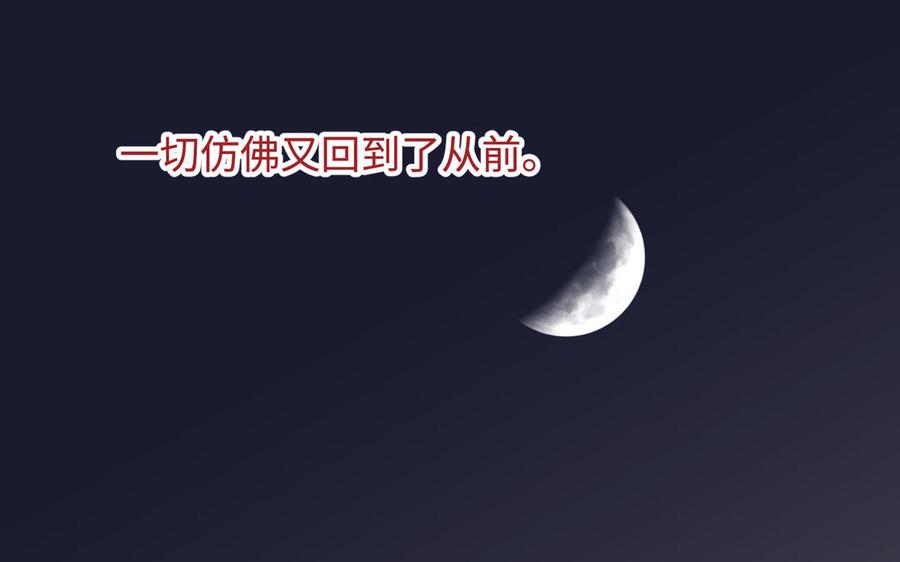第394页