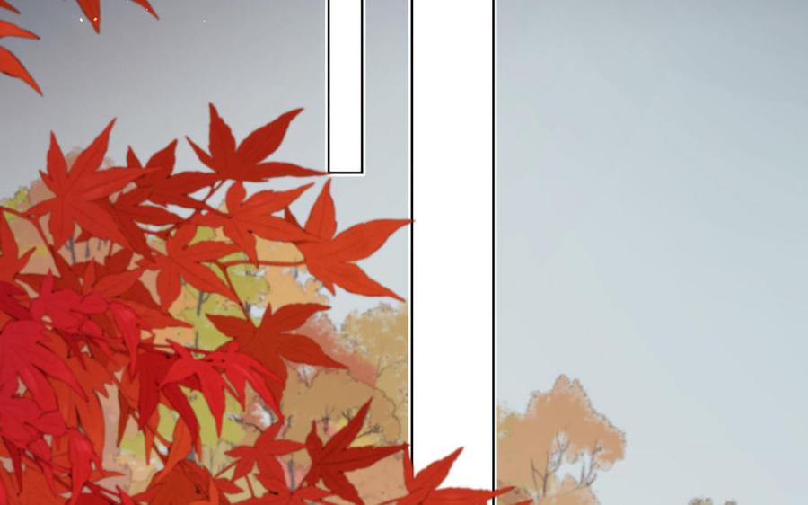第425页
