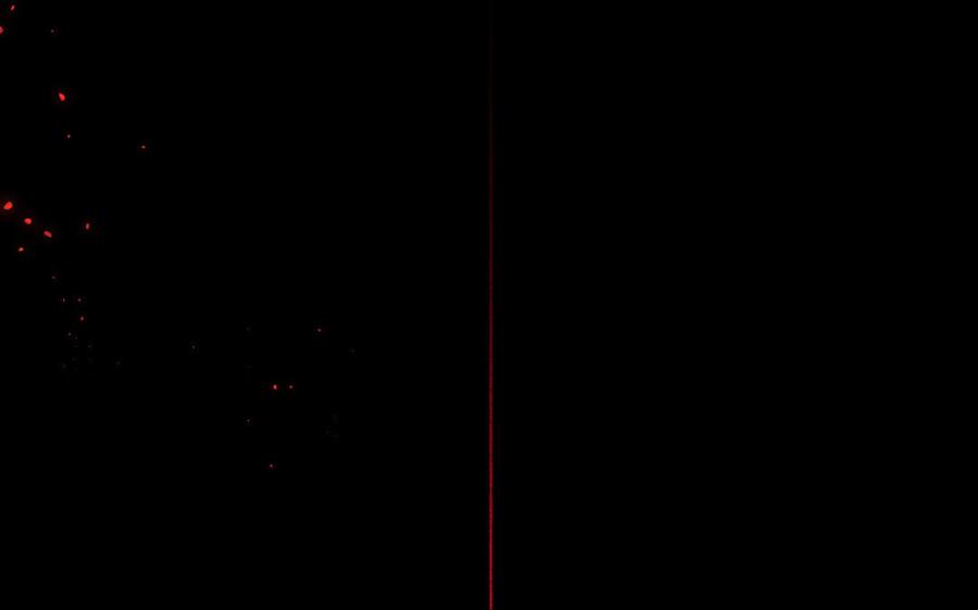 第224页