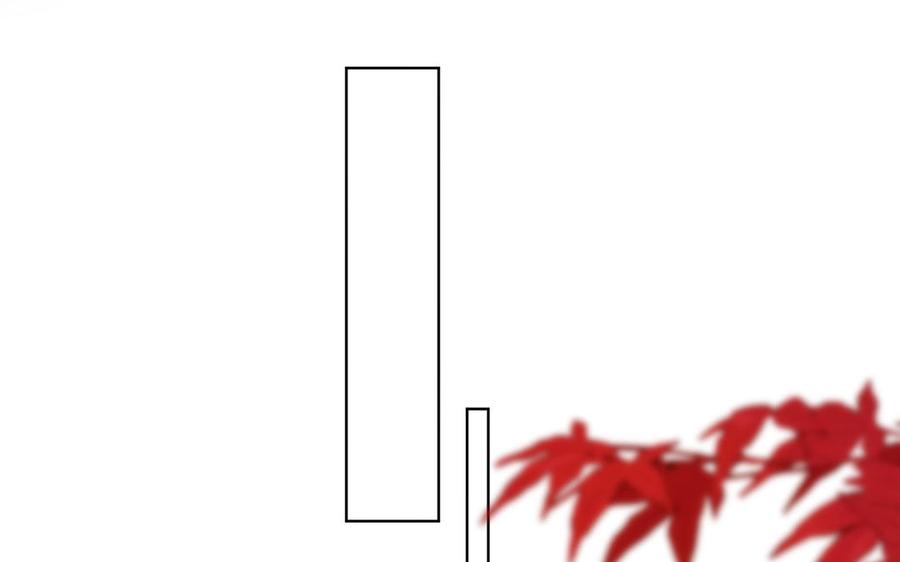 第221页