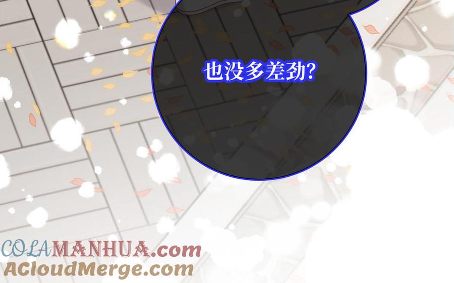 第242页