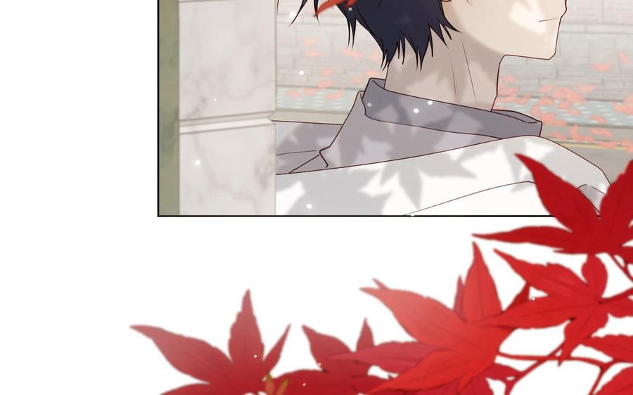 第272页