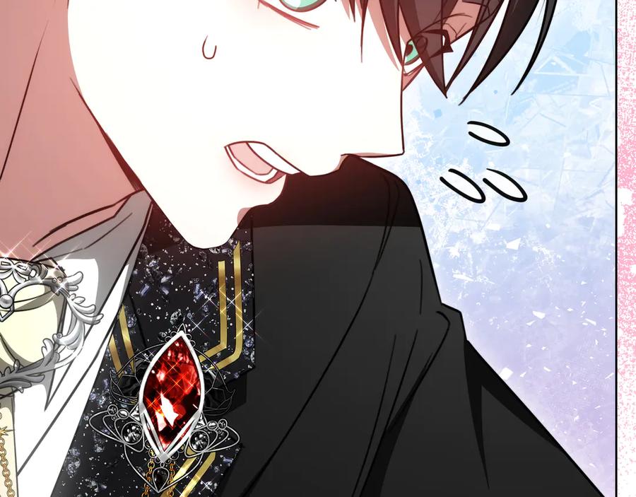 第204页