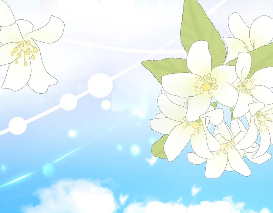 第256页