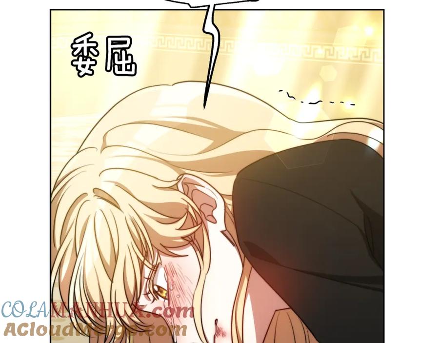 第221页