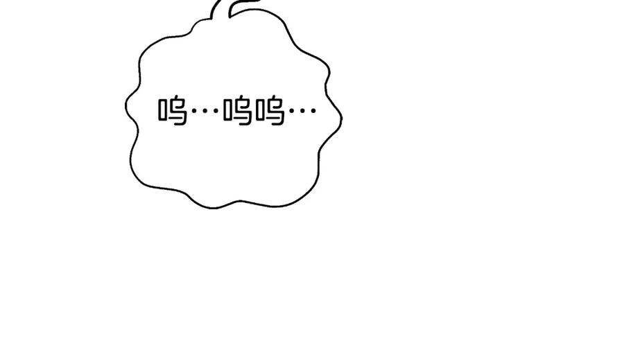 第223页