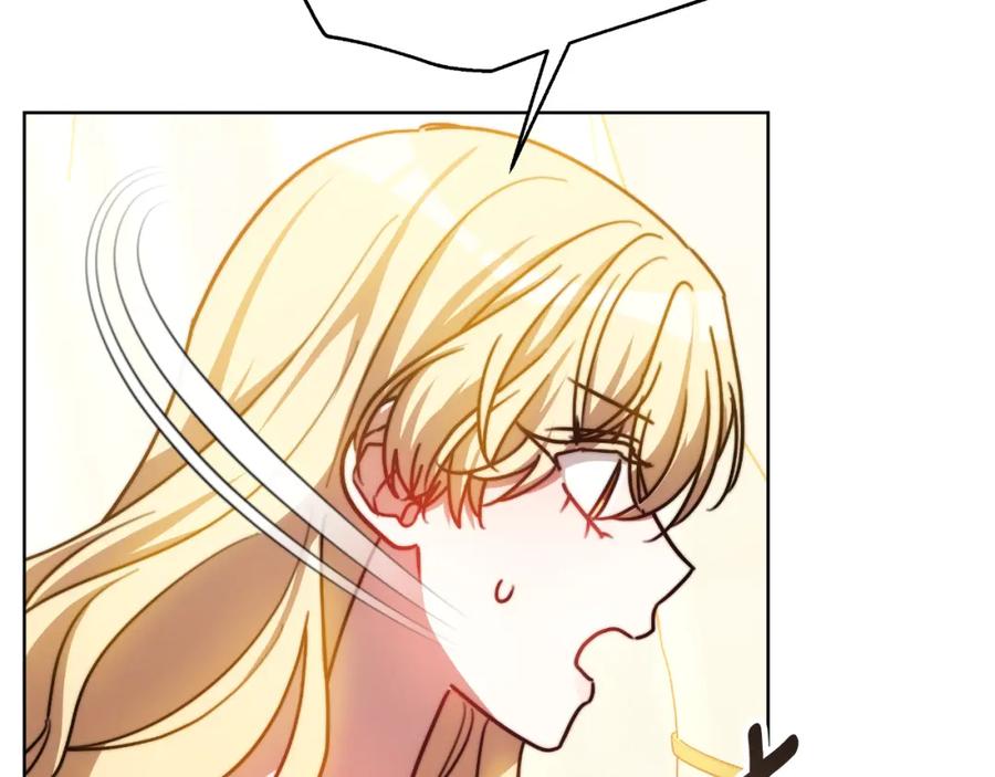第242页