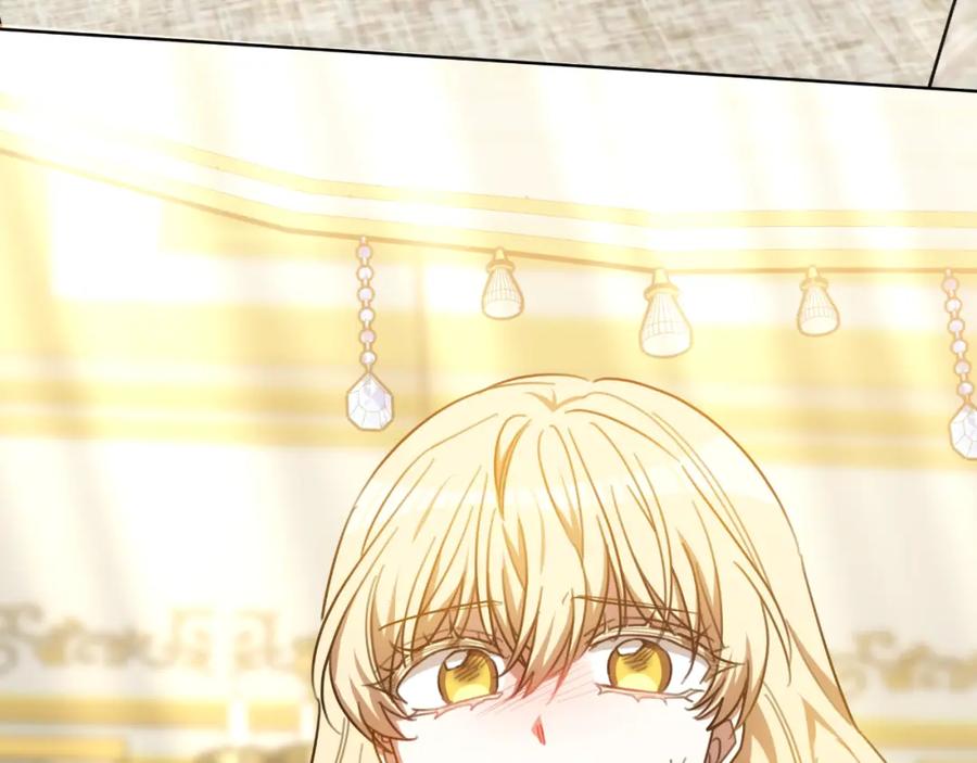 第255页