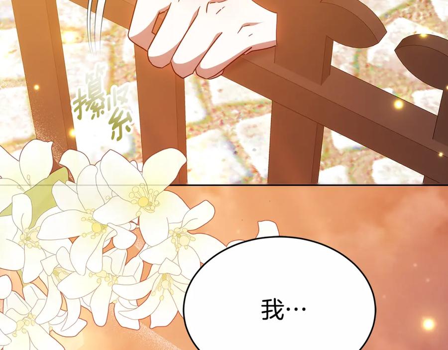 第239页