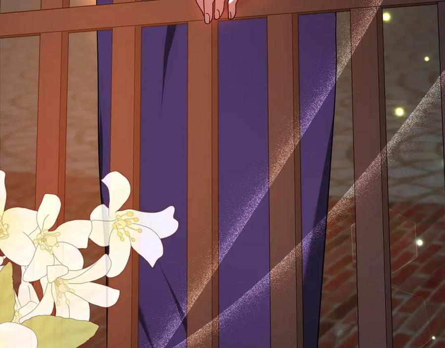 第242页