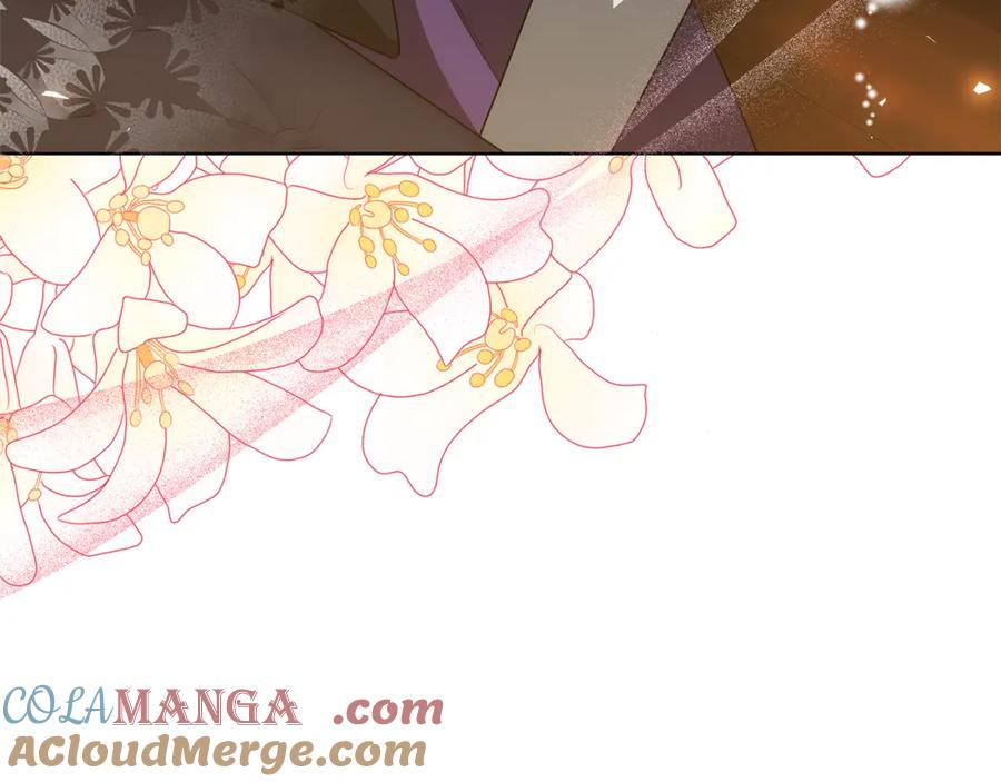 第217页