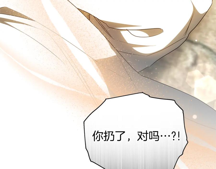 第238页