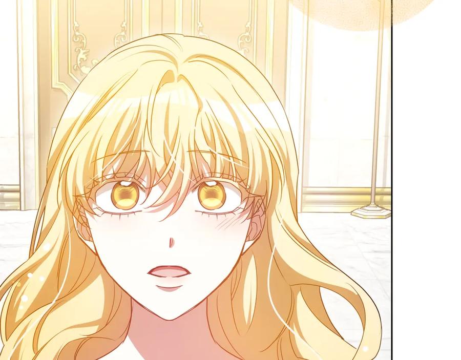 第242页