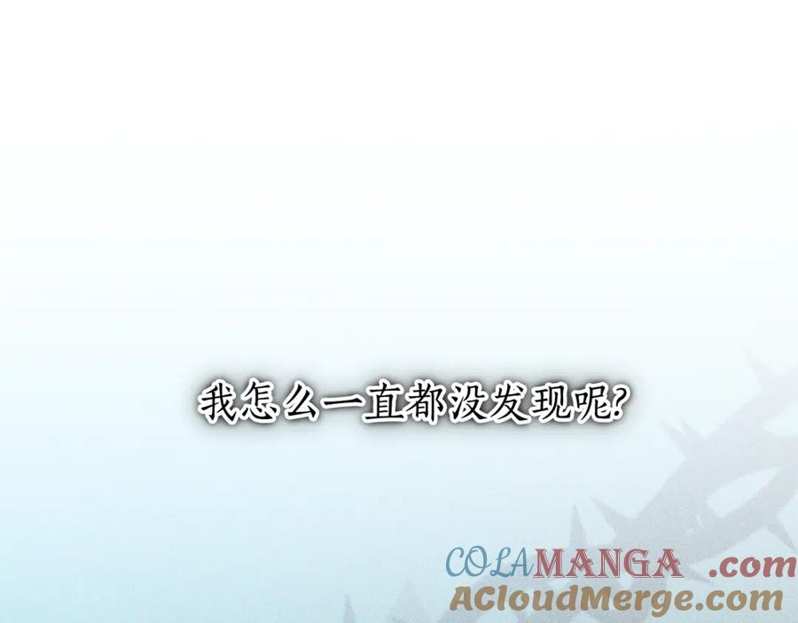 第233页