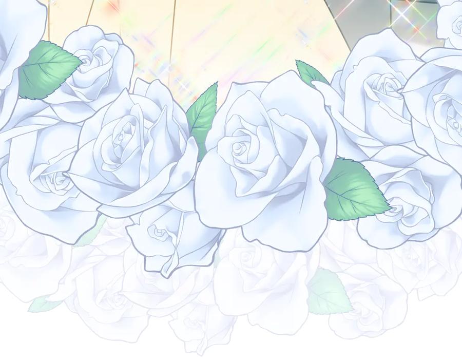 第251页