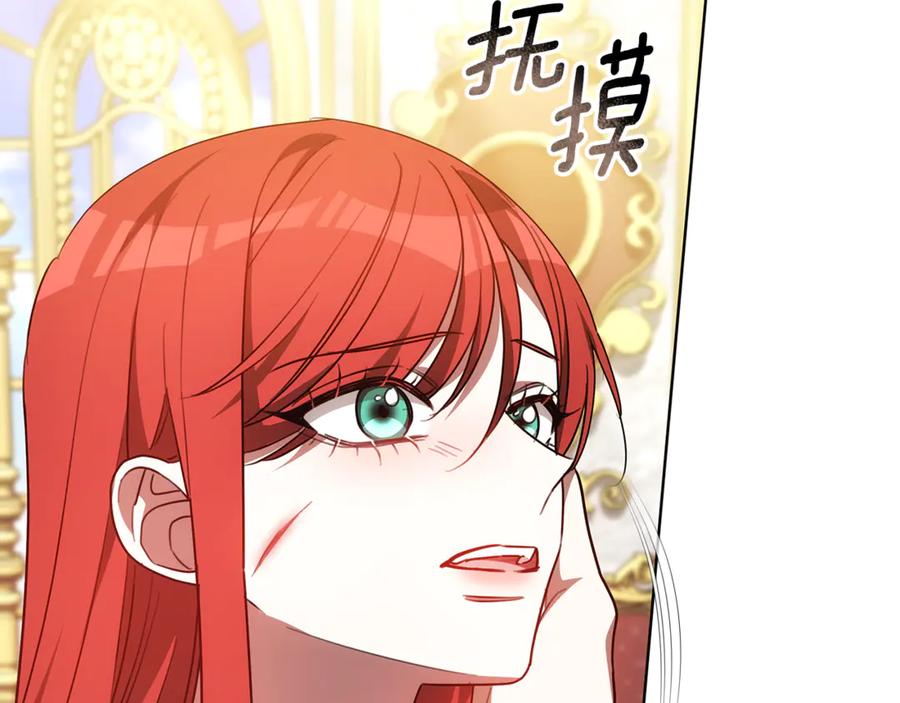 第228页