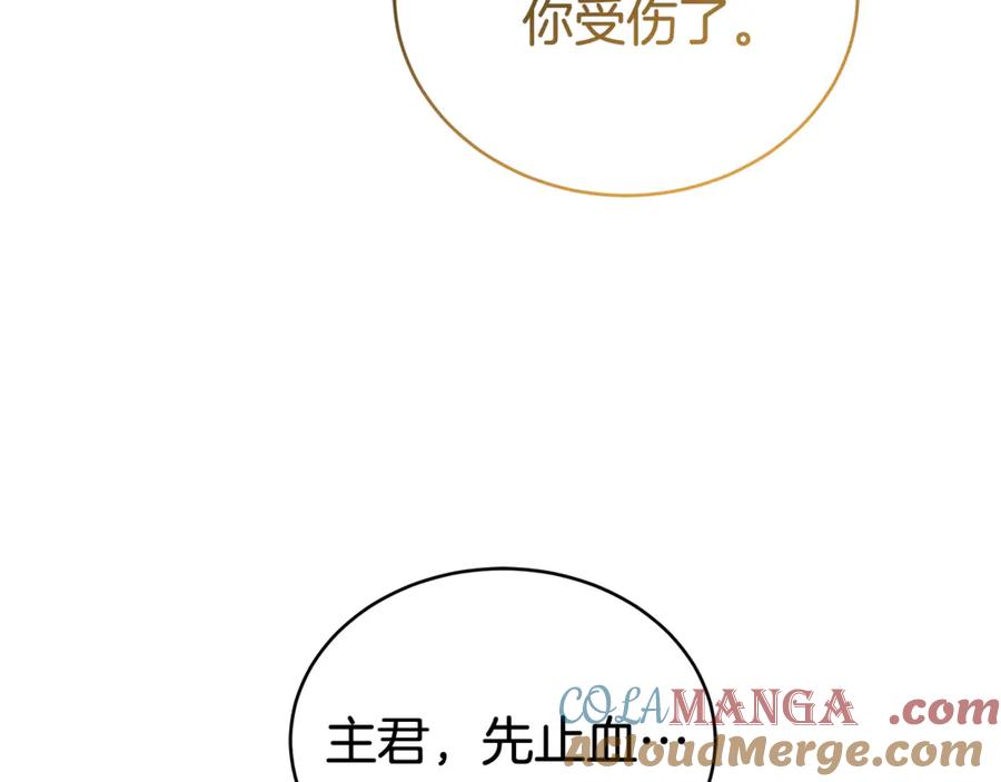 第233页