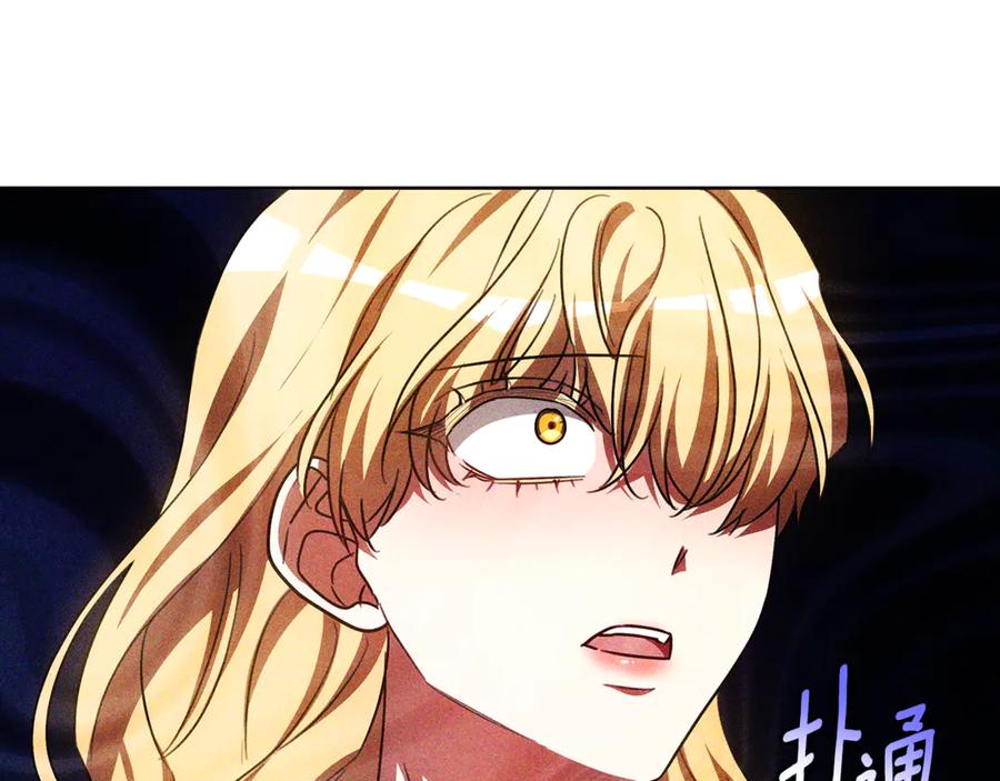 第216页