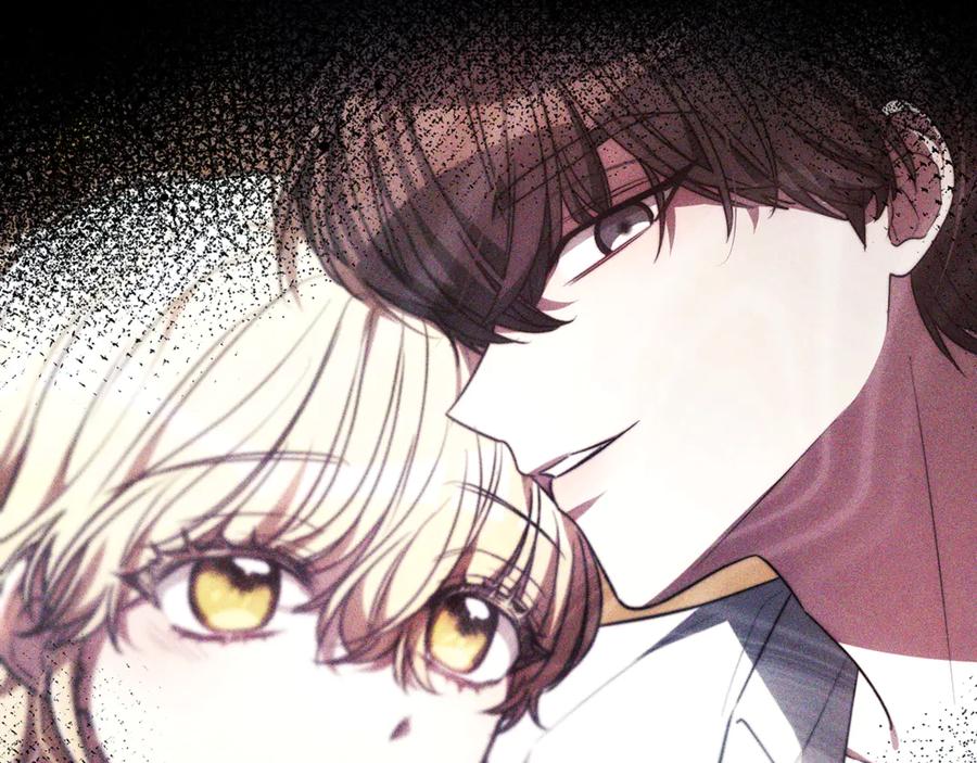 第223页