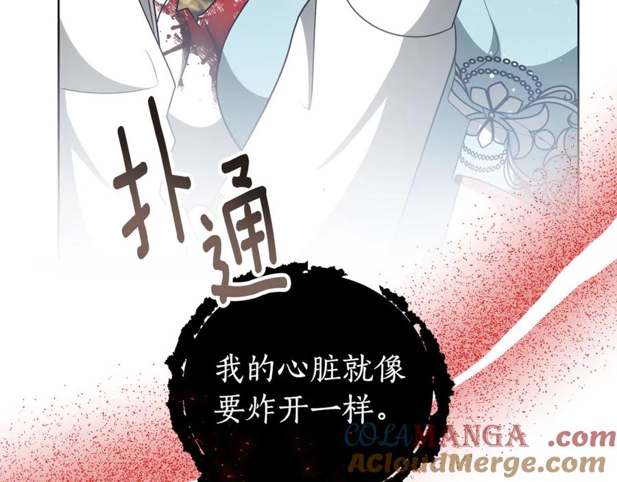 第205页