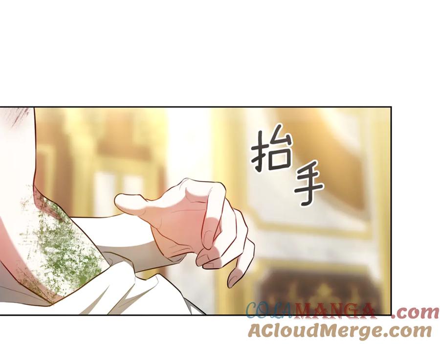 第204页
