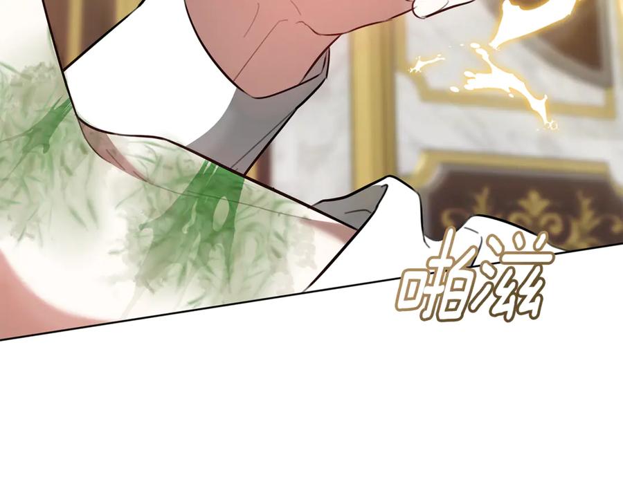 第206页