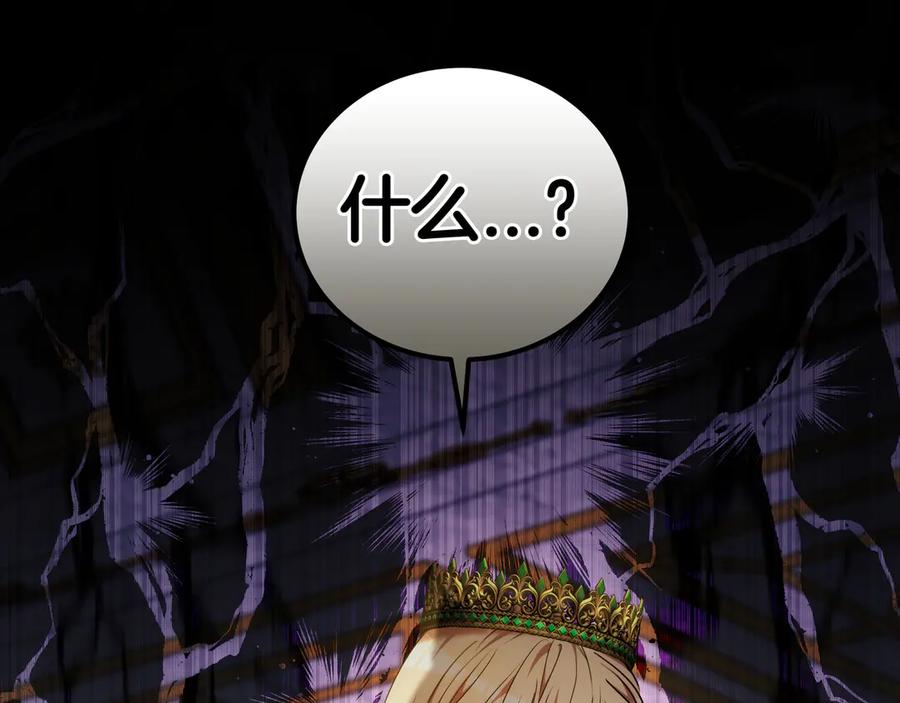 第223页